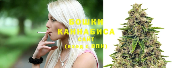 МДПВ Липки