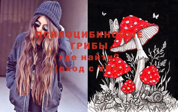 МДПВ Липки