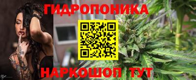 скорость Аргун