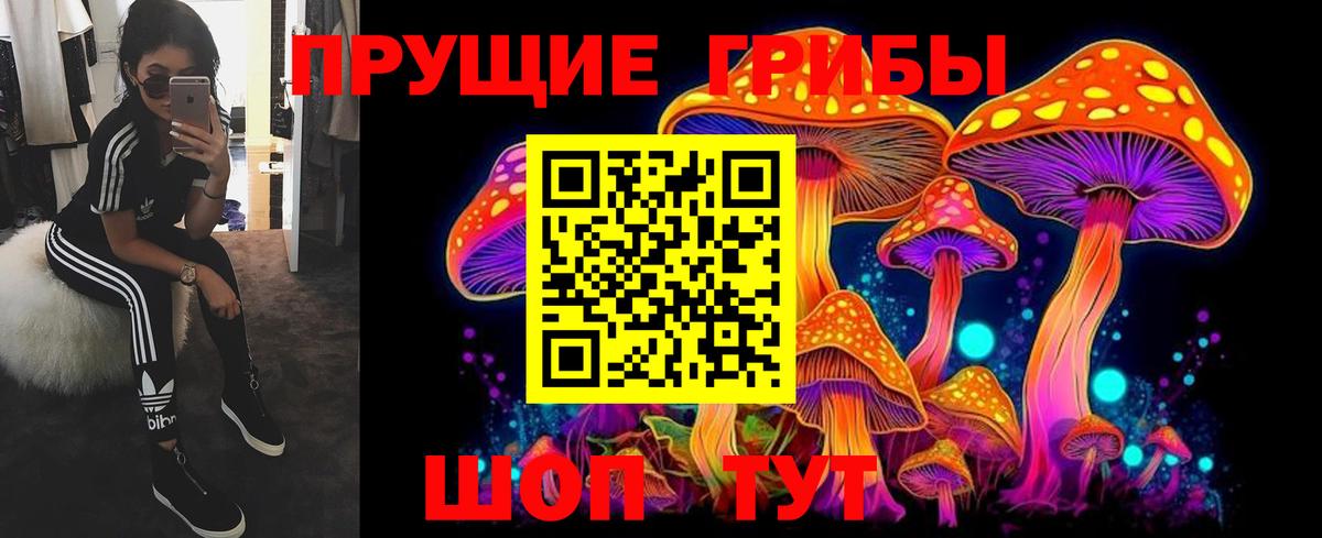 Бердск  Галлюциногенные грибы MAGIC MUSHROOMS  Вход с VPN 
