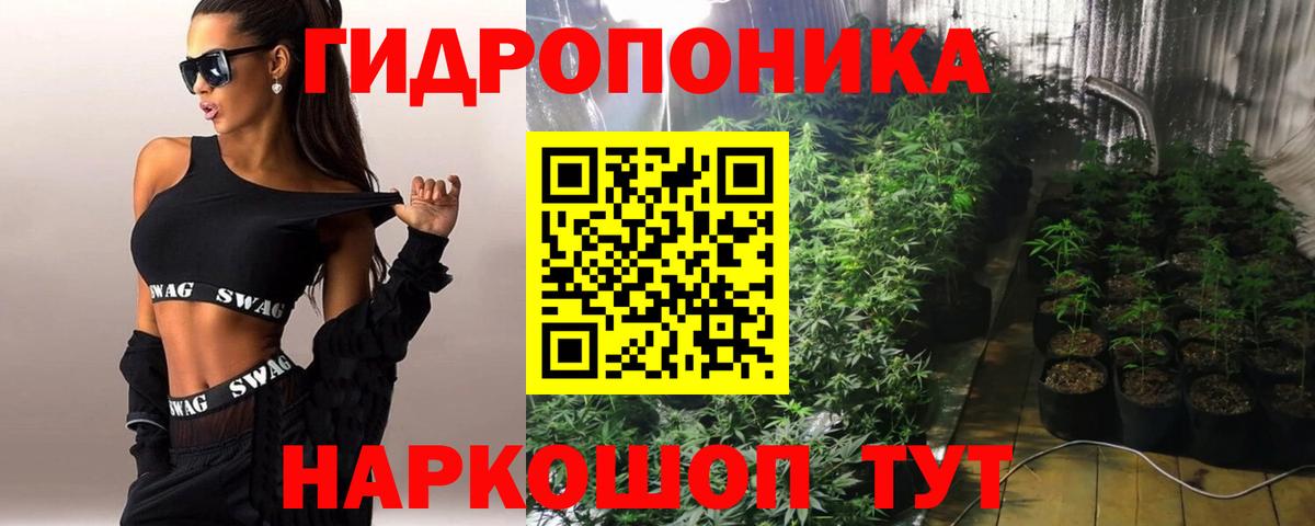Галлюциногенные грибы Бердск