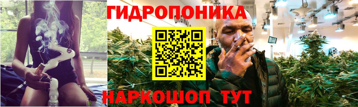 Бошки марихуана White Widow  Бердск  Шишки марихуана Amnesia  Шишки марихуана сатива  МАРИХУАНА Bruce Banner 